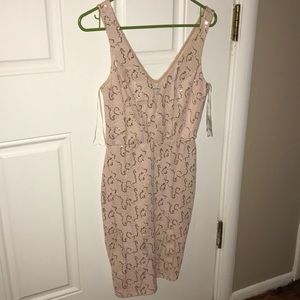 Charlotte Russe Dress
